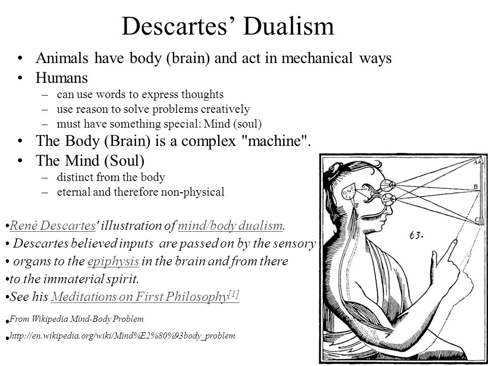 An analysis of dualism